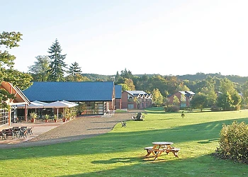 The park setting