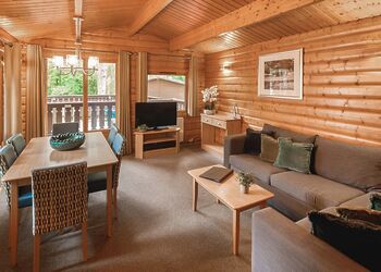 Log Cabin with Hot Tub - Whitemead Forest Park, Forest of Dean