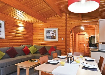 Log Cabin Premier