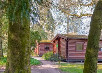 Log Cabin with Hot Tub - Whitemead Forest Park, Forest of Dean