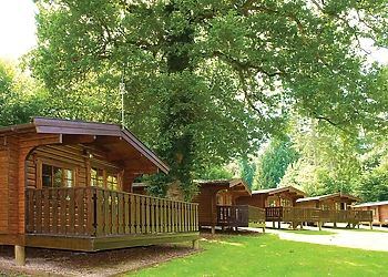 Log Cabin with Hot TubPet Friendly
