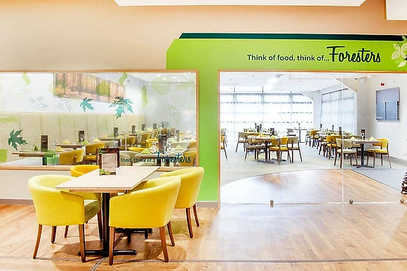 Whitemead Forest Park, Forest of Dean