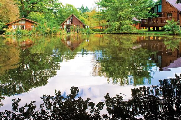 3 Bed Log Cabin with Dining Space - Whitemead Forest Park, Forest of Dean