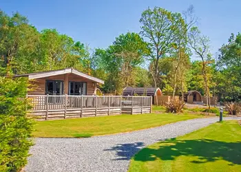 The park setting 