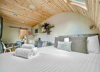 Maple Deluxe Couples Pod Pet - Woodthorpe Leisure Park, Woodthorpe