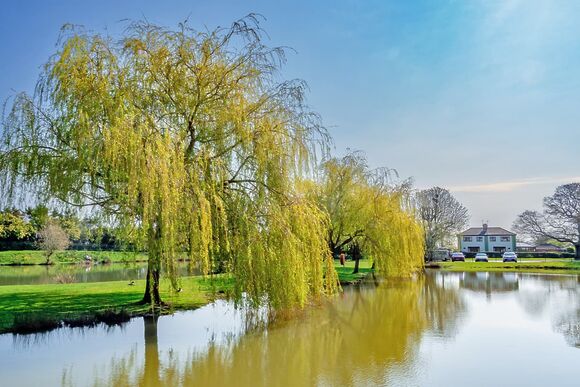 Chestnut Cottage - Woodthorpe Leisure Park, Woodthorpe
