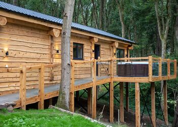 Bluebell Treehouse - Woodland Park Lodges, Ellesmere