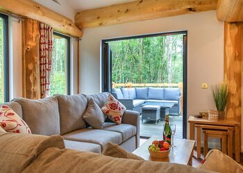 Orchid Treehouse - Woodland Park Lodges, Ellesmere