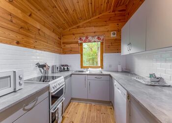 Woodland Cedar Lodge - Woodland Park Lodges, Ellesmere