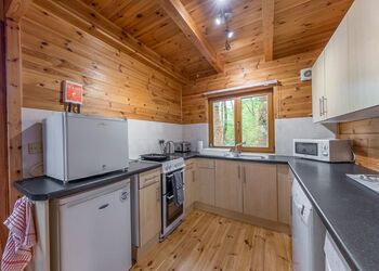 Woodland Willow Lodge - Woodland Park Lodges, Ellesmere