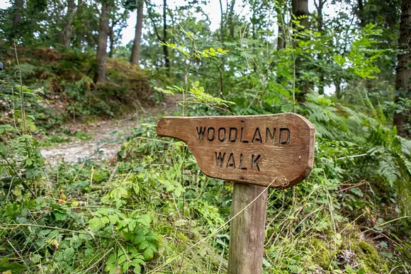 Woodland Park Lodges, Ellesmere