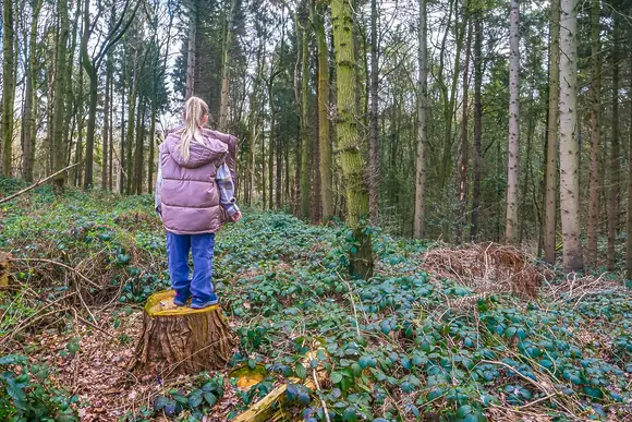 Woodland Park Lodges, Ellesmere
