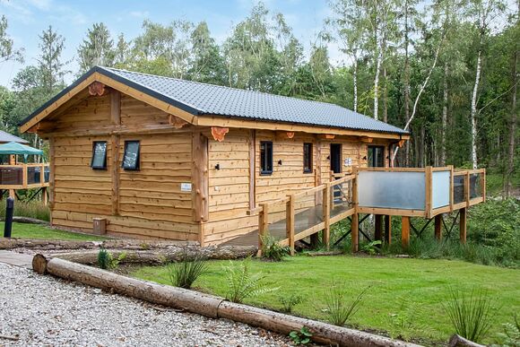 Snowdrop Treehouse - Woodland Park Lodges, Ellesmere