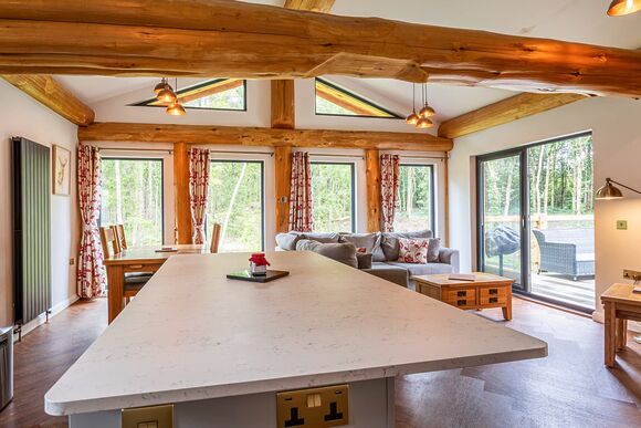 Snowdrop Treehouse - Woodland Park Lodges, Ellesmere