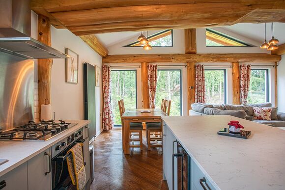 Snowdrop Treehouse - Woodland Park Lodges, Ellesmere