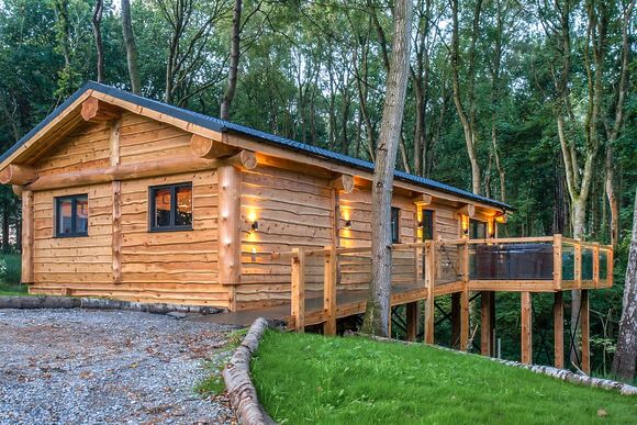 Bluebell Treehouse - Woodland Park Lodges, Ellesmere