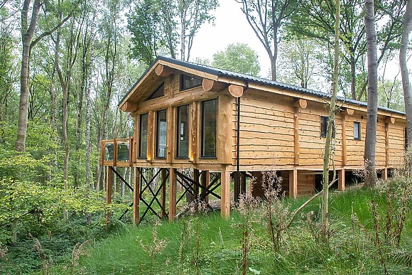 Bluebell Treehouse 