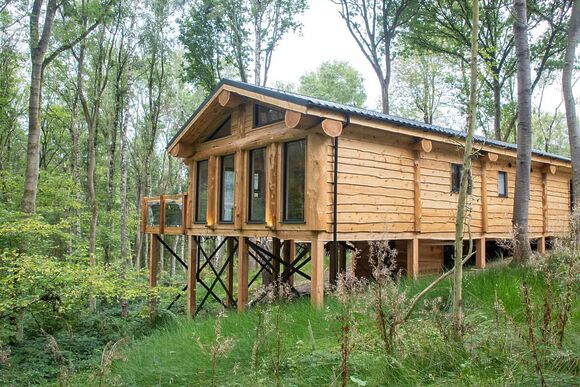 Bluebell Treehouse - Woodland Park Lodges, Ellesmere