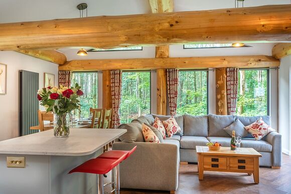 Orchid Treehouse - Woodland Park Lodges, Ellesmere