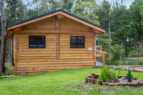 Primrose Treehouse - Woodland Park Lodges, Ellesmere