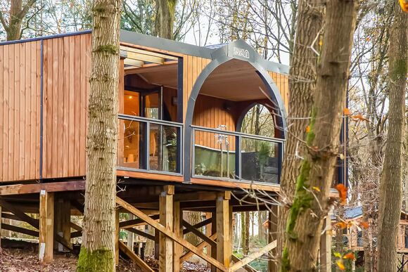 Foxglove Treehouse - Woodland Park Lodges, Ellesmere