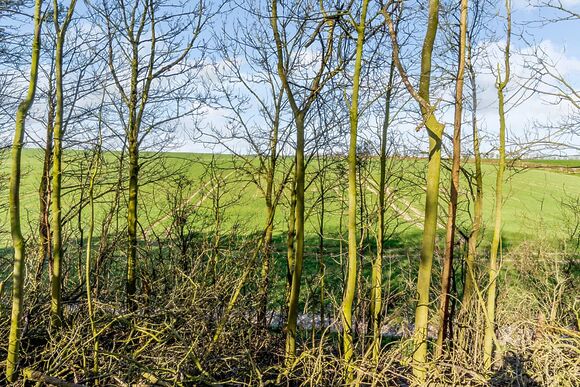 Farmers Retreat - Wold View Farm, Cottam