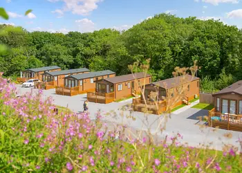 Woodbury Woods, Woodbury, Nr Exeter