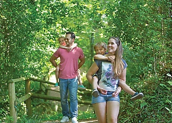 The park setting 