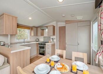 Woodland Retreat (Pet) - Woodbury Woods, Woodbury, Nr Exeter