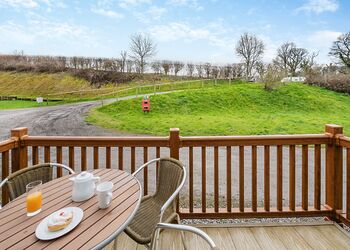 Golden Oak 2 (Pet) - Woodbury Woods, Woodbury, Nr Exeter