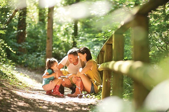 Woodbury Woods, Woodbury, Nr Exeter