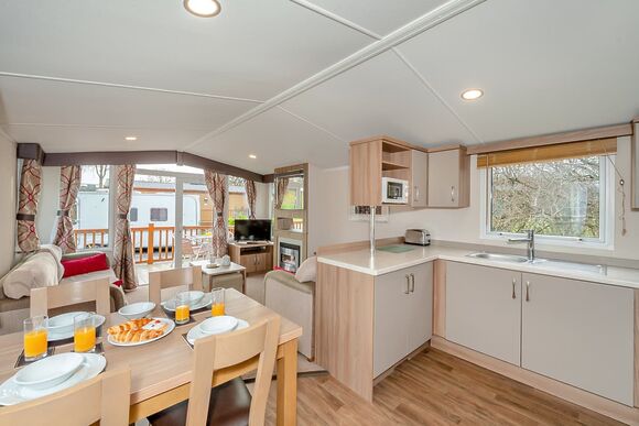 Woodland Retreat - Woodbury Woods, Woodbury, Nr Exeter