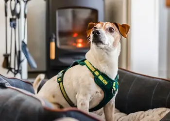 Willow Pastures Country Park, Skirlaugh, Nr Hull