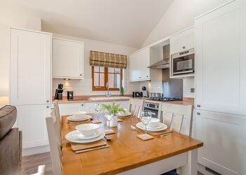 Smoky Hollow (Pet) - Willow Pastures Country Park, Skirlaugh, Nr Hull