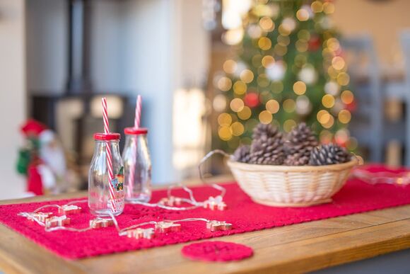 Christmas Cabin - Willow Pastures Country Park, Skirlaugh, Nr Hull