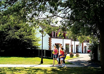 White Rose Cottages