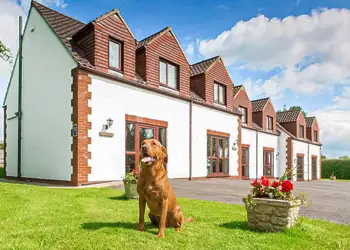 White Rose Holiday Park, Thirsk