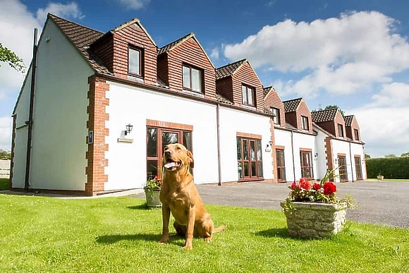 White Rose Country Cottages, Thirsk