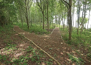 Trim trail