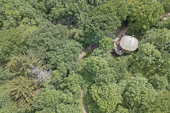 Woodside Bay Treehouse 