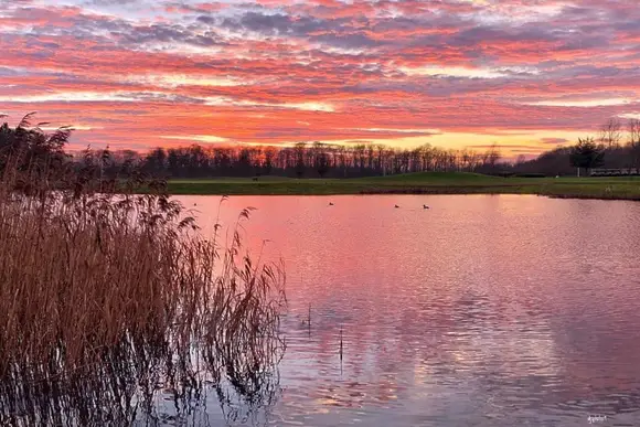 Woodland Lakes Boutique Lodges