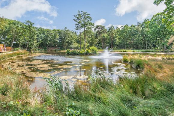 Woodland Lakes Boutique Lodges