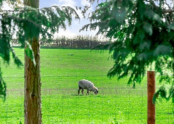 Cedar Retreats, West Tanfield, North Yorkshire