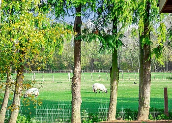Cedar Retreats, West Tanfield, North Yorkshire