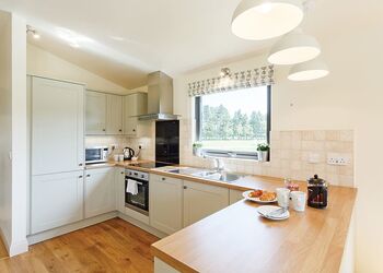 Typical Northallerton Lodge 