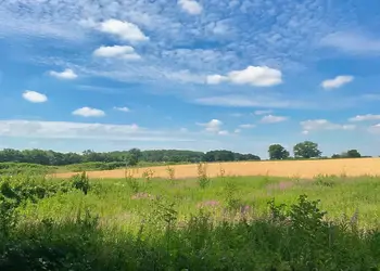 Yare View Holiday Cottages, Brundall, Norwich