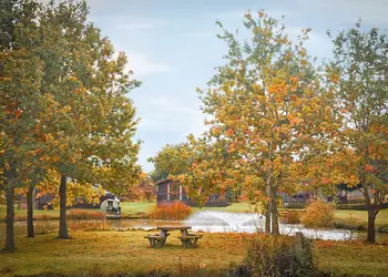 Yaxham Waters, Yaxham, Dereham