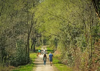 Yorkshire Spa Retreat, York