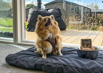 The Brambles Hot Tub (Pet) - Yorkshire Spa Retreat, York