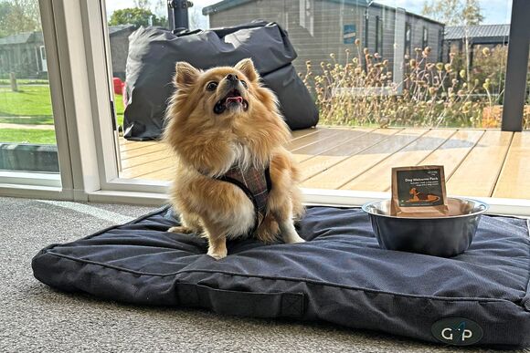 The Fairfax (Pet) - Yorkshire Spa Retreat, York